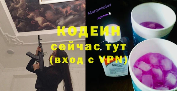 первитин Каменка