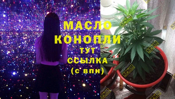 первитин Каменка