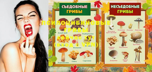 первитин Каменка