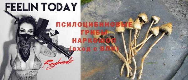 альфа пвп Каменногорск