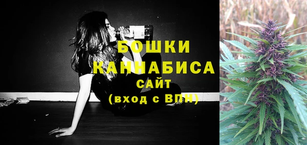 первитин Каменка