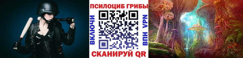 Купить где  Зубцов  Псилоцибиновые грибы Psilocybe 